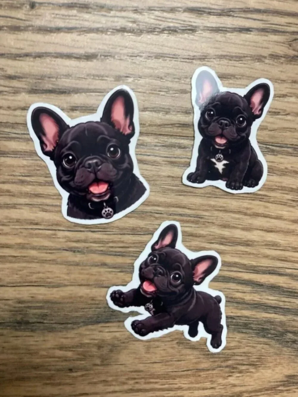 6 Flexible French Bulldog Dog Magnets 2 Sets Puppy Refrigerator Fridge Decor
